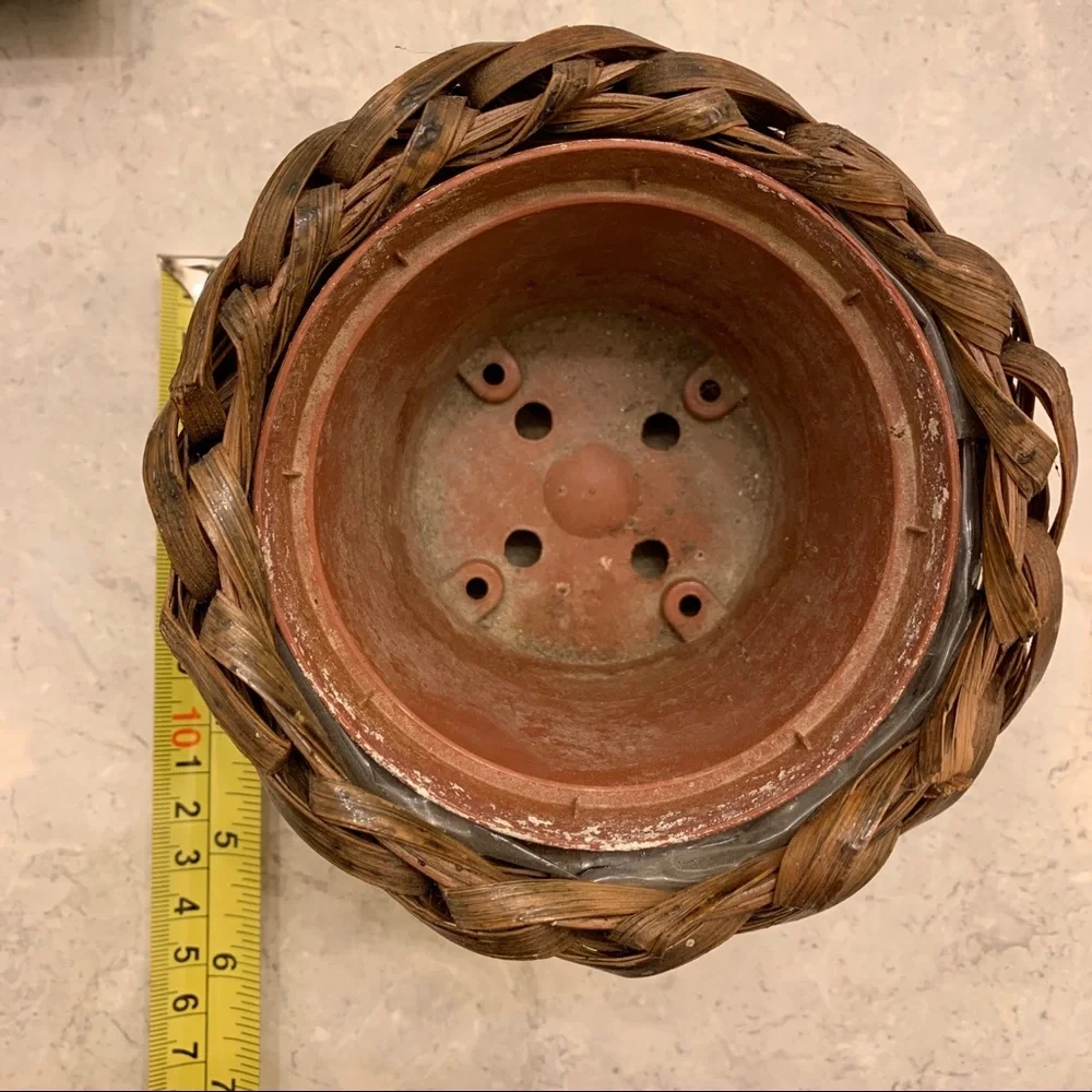 Free item: small wicker basket planter